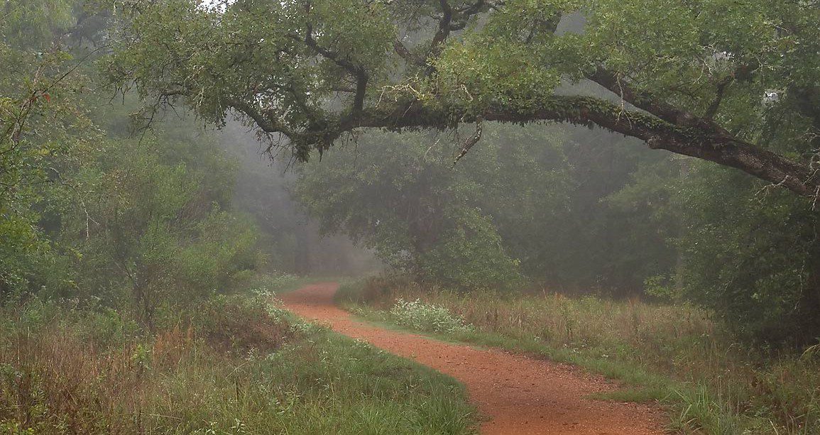 lick-creek-park